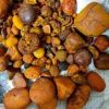 Cow Ox Gallstone