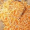 Yellow Corn & White Corn/Maize for Human & Animal Feed