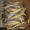 Dry Stock Fish