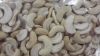 W320 W240 W450  WHITE WHOLE CASHEW NUT, CASHEW NUT KERNELS FOR SALES