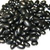 BLACK KIDNEY BEAN