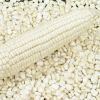 Top Grade 1 Yellow Corn & White Corn/Maize for Human & Animal Feed