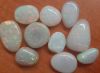 Rough or cut welo opals