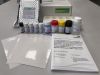 SARS-CoV-2 IgM Screen ELISA Kit