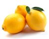 Best yellow lemons for sale