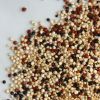 Good White And Red Quinoa