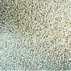 Top quality White Sorghum