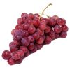 Premium quality Fresh Grapes