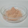 Natural Wide Apple Extract Powder 80% Apple Polyphenols