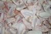 FROZEN CHICKEN (WHOLE CHICKEN, FEET, WINGS, QUATER LEG ETC)