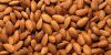 HAZELNUTS, MACADAMIA NUTS, BETEL NUTS, BRAZIL NUTS, CASHEW NUTS, PEA NUTS, BASIL NUTS, WALNUTS, ALMOND NUTS