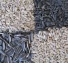 Premium Quality Sunflower Seed / 100% sunflower seeds kernel peeled sunflower seeds