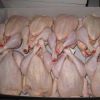 High Quality Halal Frozen Whole Chicken  Wholesale halal frozen whole chicken For Sale Halal Frozen Whole Chicken Best Price