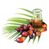 palm oil