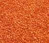 Lentils Beans