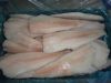 Frozen Alaska Pollock Fish/ Salmon fish