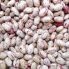 Light speckled kidney beans/Red Kidney beans/White Kidney Beans