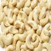 RAW CASHEW NUT