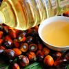 Refined Palm oil