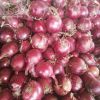 Red Onion