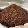 High Quality Cloves/Cloves Spices/Indonesian Cloves