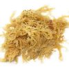 SEA MOSS