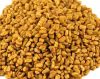 Best quality whole sale Fenugreek Seeds