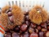 Chestnuts