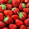 Fresh Strawberry