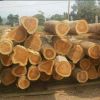 Teak wood