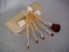 Brush set, 5 pcs