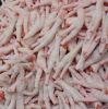 Top Selling Premium Halal Frozen Whole Chicken, Chicken Feet, Paws Frozen Chicken Paws Chicken Feet