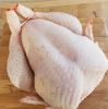 Big size Frozen Whole Halal Chicken And Chicken Parts From France