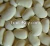 HIGH QUALITY BUTTER BEANS