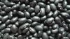 fresh crop black kidney beans with size 500-550 grains for 100g
