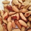 Raw Brazil Nuts, Brazil Nuts Shelled