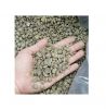 ARABICA GREEN COFFEE BEANS HIGH QUALITY