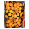 High Quality Red Apricot Fresh Apricots for Sale