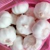 2021 New crop fresh natural normal pure white garlic