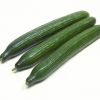 Fresh Cucumber for sale