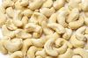 CASHEW NUT WW320