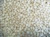 White Waxy Corn For Sale