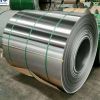 Stainless Steel Plate