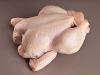 Halal Whole Frozen Chicken for sale