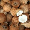 Fresh Coconuts , Semi Husk Coconuts, Fresh Baby Coconuts