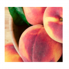 Fresh Sweet Peaches