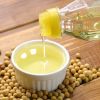 Soybean Oil