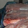 quality Fresh Frozen Goat Meat for