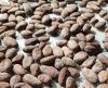 Cocoa beans