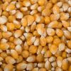 Butterfly Popcorn Kernels - Wholesale and best prices